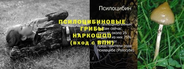 герыч Лагань