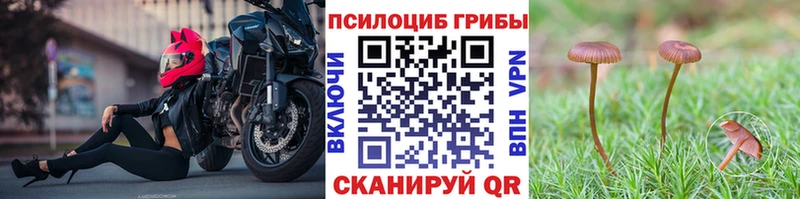 Псилоцибиновые грибы мицелий  Купить где  Аша 